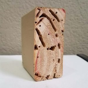 termite damage