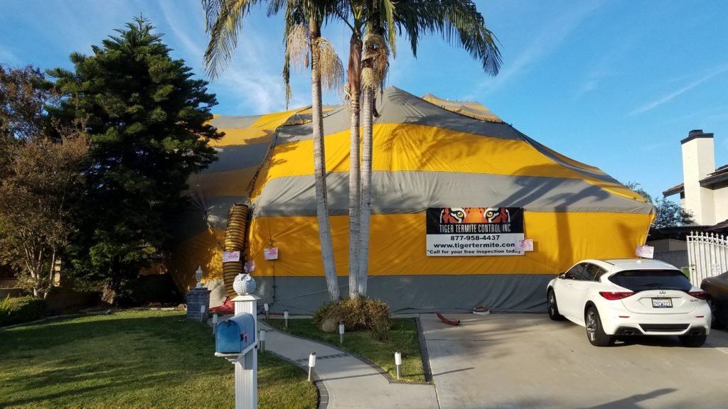 Front view of Tiger Termite fumigating Chino Hills house