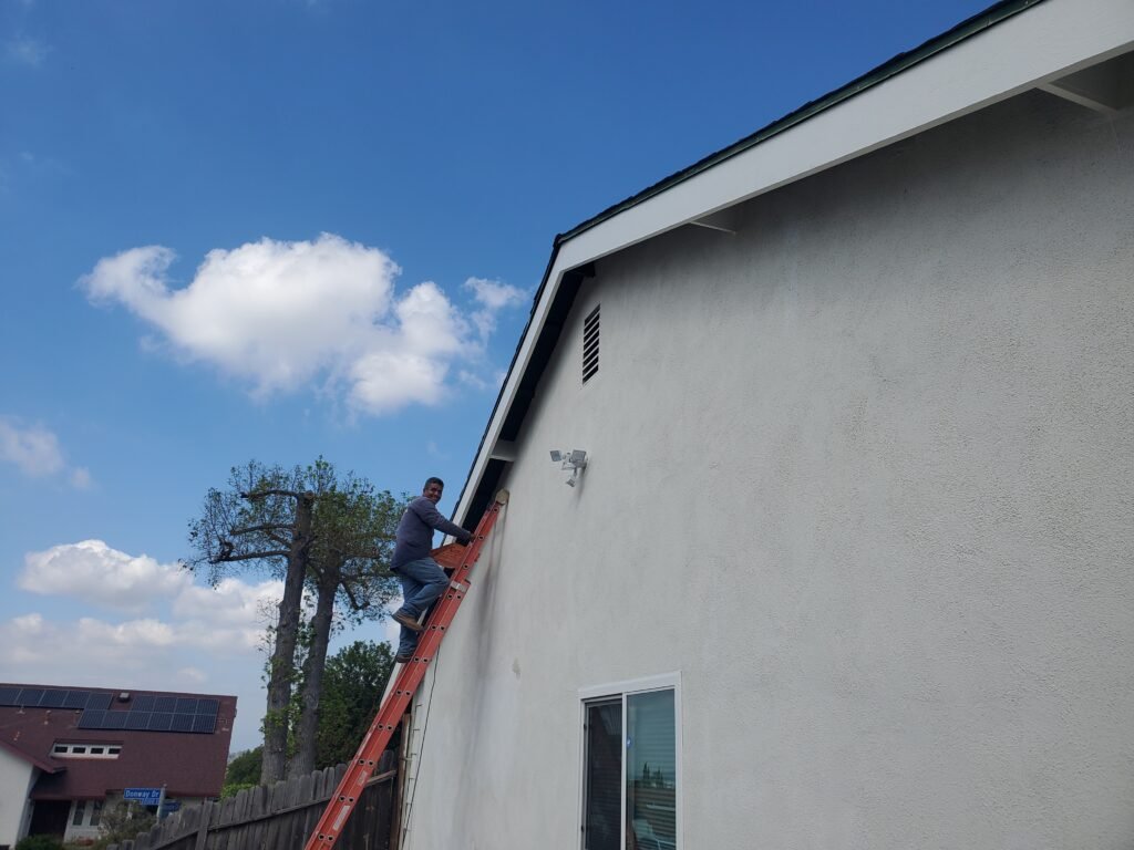 Technician on an extension ladder painting a termite-damaged fascia board.